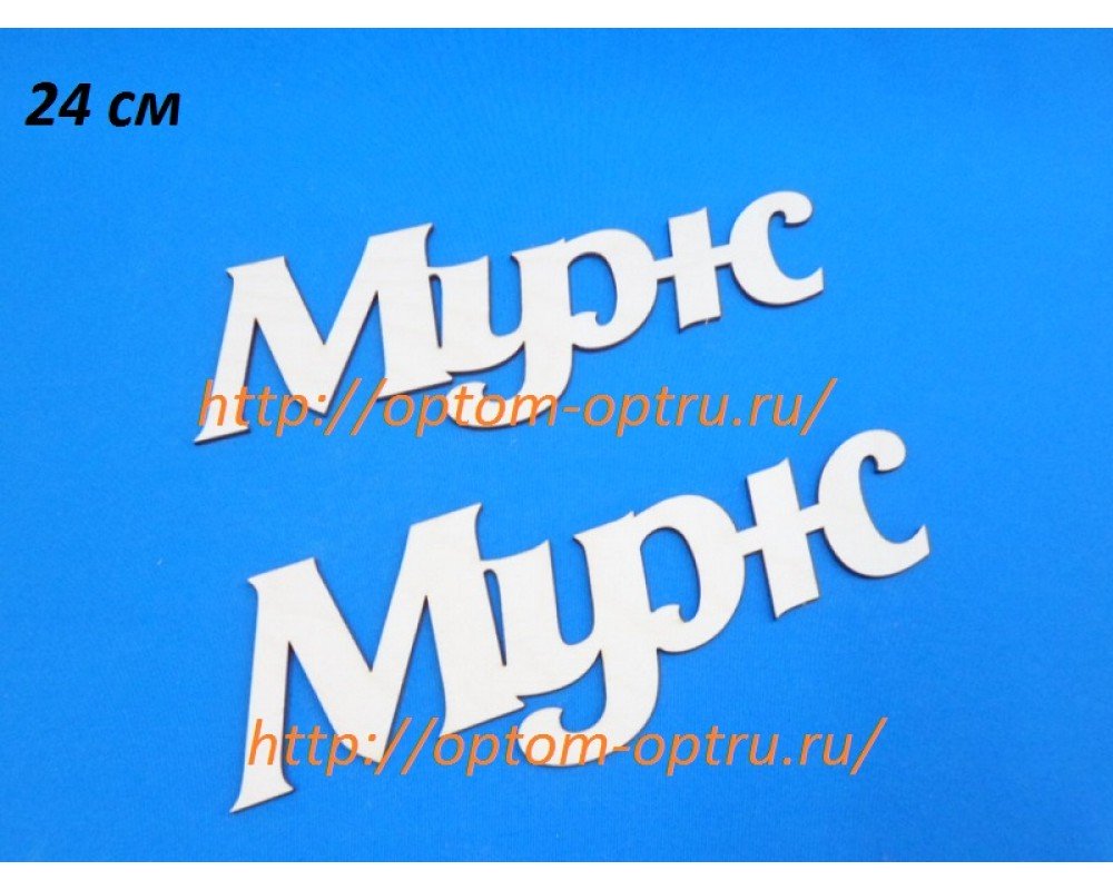 ЗАГОТОВКА ИЗ ФАНЕРЫ 3 мм СЛОВА " Муж  " 24 СМ." ( 1 шт )
